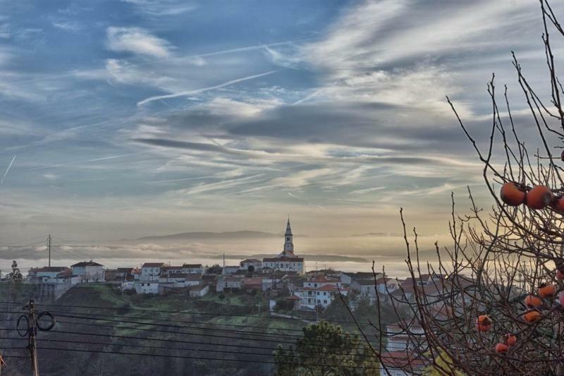 Quinta Do Viso Alojamento Local Миранда до Корво Екстериор снимка